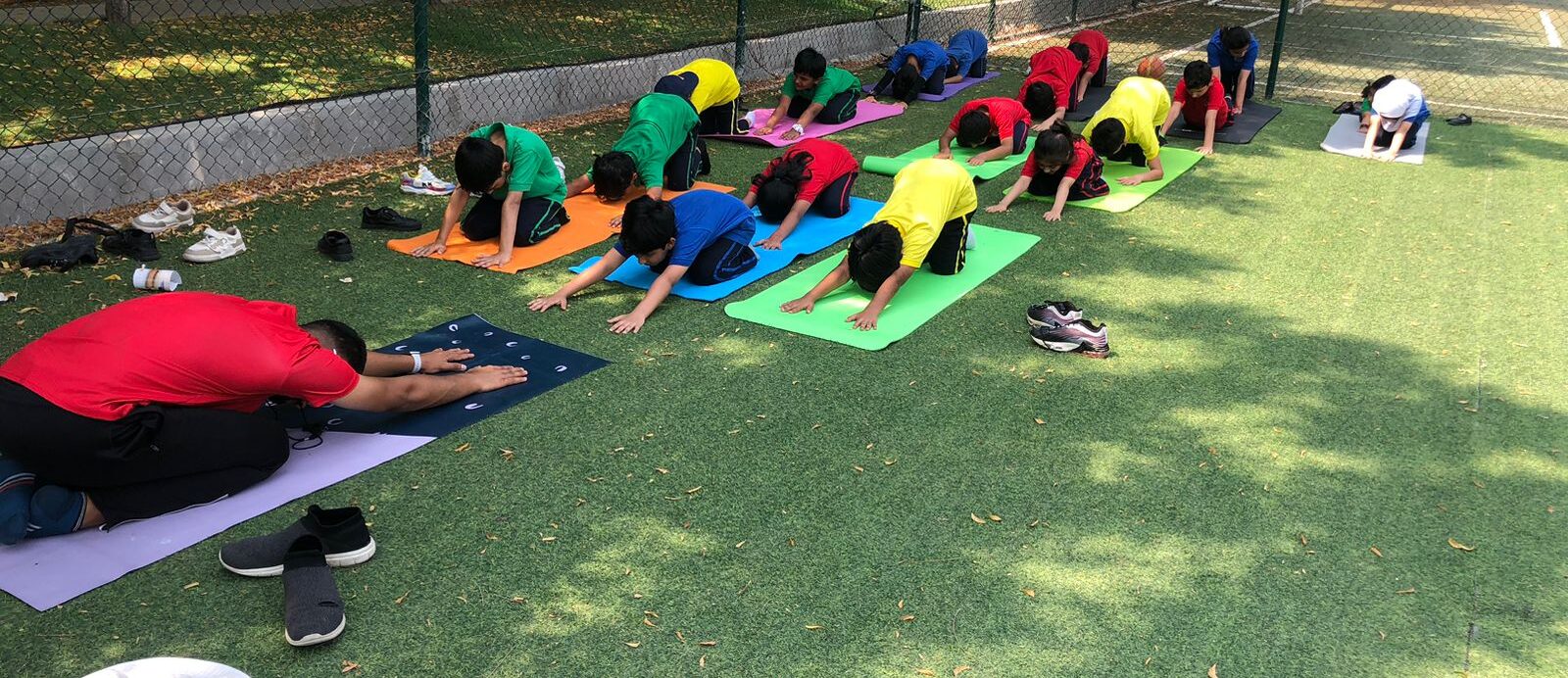 International Yoga Day